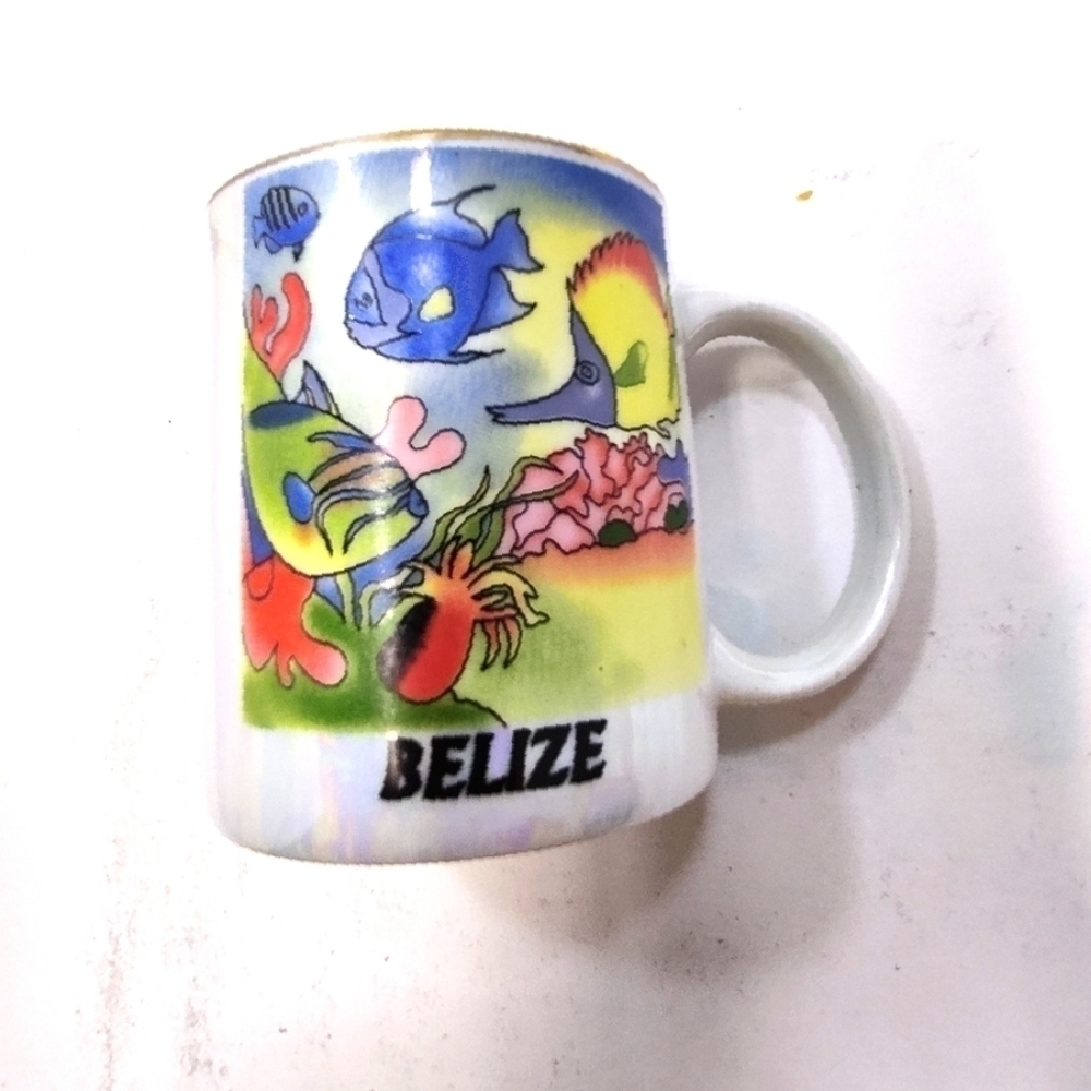 Set of 5 Belize Souvenir Coffee Mugs – Tropical Ocean Design - Picture 5 of 5